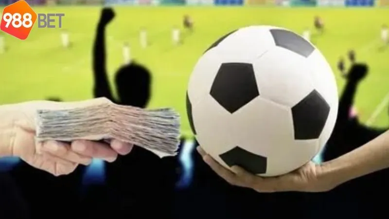 sanh-the-thao-cmd368:-gioi-thieu