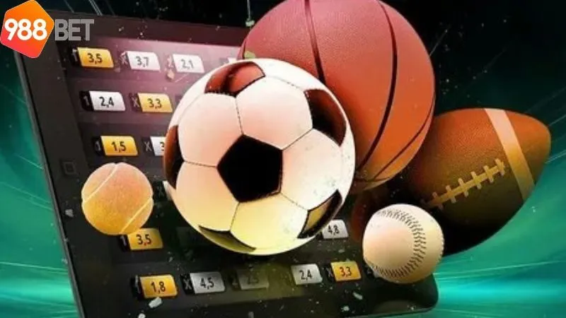 huong-dan-su-dung-sanh-the-thao-cmd368