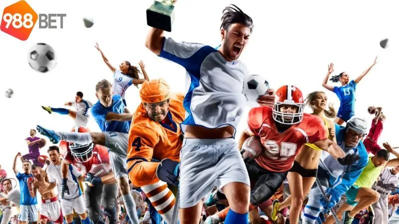 cac-dich-vu-cung-cap